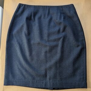 Valerie Stevens Skirt (Size 12)